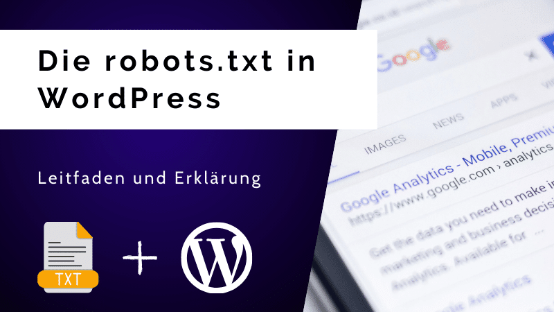 robots.txt in WordPress Cover