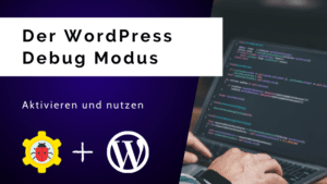 WordPress Debug Modus